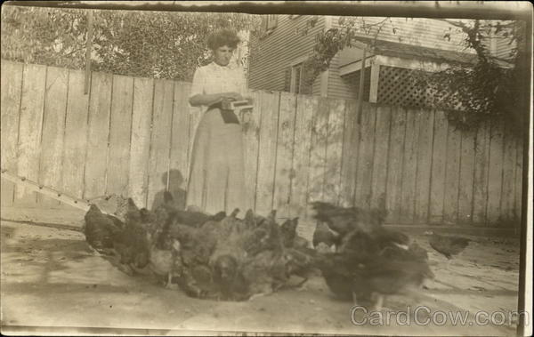 Woman feeding chickens Women