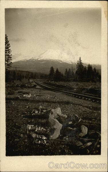 Mount Shasta Weed California