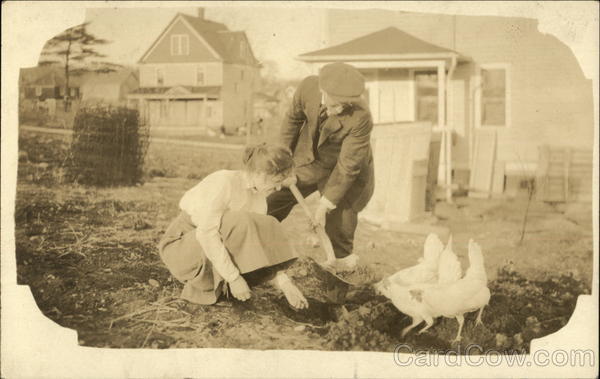 Small Chicken Coop Back Yard Binghamton New York
