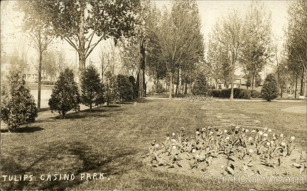 Tulips Casino Park Binghamton New York