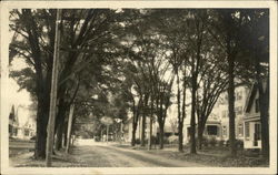 Residential Street Postcard