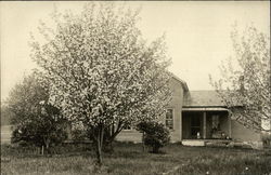 Residents in Spring Postcard