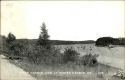 Inner Harbor View Postcard