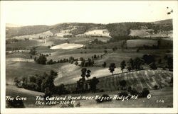 The Cove, The Oakland Road, Elev. 2800-3100 ft Postcard