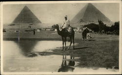 Sitting on a camel, pyramids in background Postcard