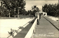 Beach Scene Naples, FL Postcard Postcard