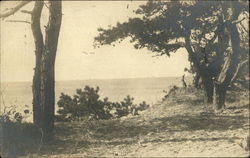 View of Water Harwich Port, MA Postcard Postcard