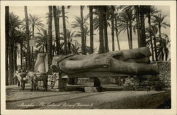 Statue of Rameses Postcard