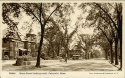 Main Street Looking South Postcard