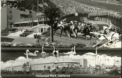 Hollywood Park California Postcard Postcard