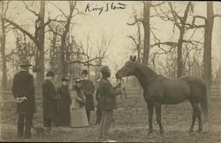Showing Horse, King Stow Postcard