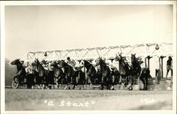 "A Start" Horse Racing Postcard Postcard