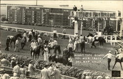 Del Mar Track - Giant Tote Board California Horse Racing Postcard Postcard