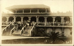 Portrait of People at Horse Race Track Postcard
