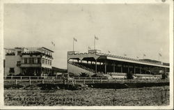 Race Track & Grand Stand Postcard