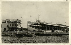 Race Track & Grand Stand Tijuana, Mexico Postcard Postcard