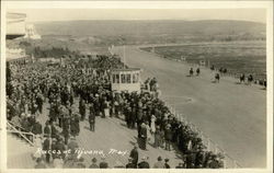 The Races Tijuana, Mexico Postcard Postcard