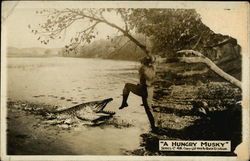 A Hungry Musky Exaggeration Postcard Postcard