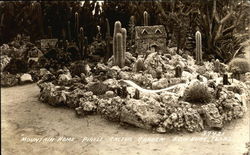 Mountain Home, Pirtle Cactus Gaden Edinburg, TX Postcard Postcard