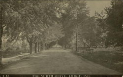 The North Drive Amboy, IN Postcard Postcard