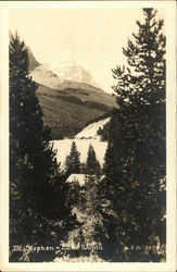 Mt. Stephen, Lake Wapta British Columbia Canada Postcard Postcard