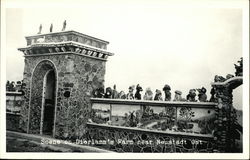 Scene on Dierlamm's Farm Postcard