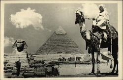 Stock #424414 Thumbnail