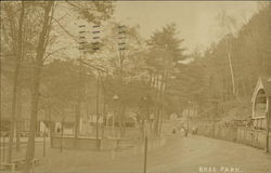 Ross Park (Zoo) Postcard