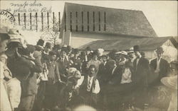 Citizens Viewing Camel Postcard