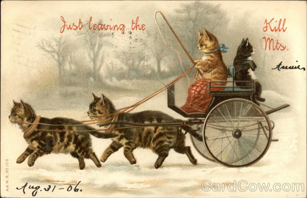 Just leaving the Kill Mts Cats