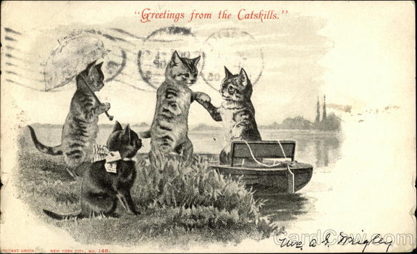 Greetings from the Catskills