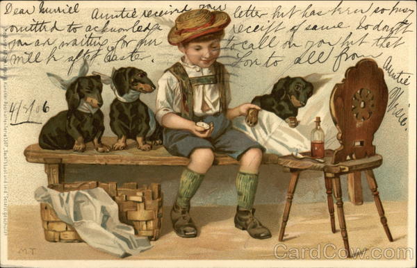 Boy Nursing Three Dogs Dachshunds