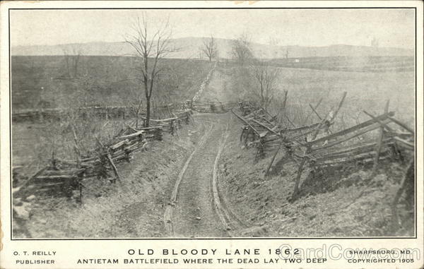 Old Bloody Lane 1862, Antietam Battlefield Where the Dead Lay Two Deep