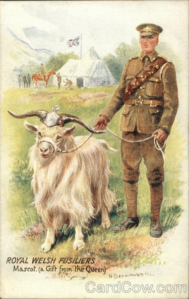 Royal Welsh Fusiliers, Mascot: a Gift from the Queen