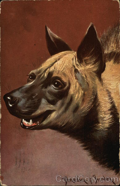 German Shepherd dog Dogs