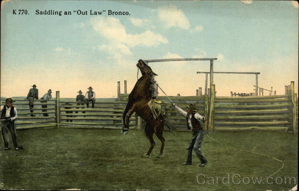 Saddling an Out Law Bronco Cowboy Western