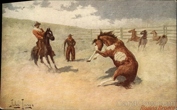 Roping Broncos John Innes Cowboy Western