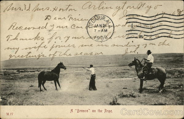 A Bronco on the Rope Cowboy Western
