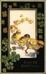 Easter Greetings - Baby Chicks and Clover With Chicks Postcard Postcard