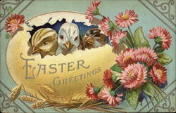 Easter Greetings With Chicks Postcard Postcard