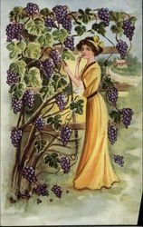 Brunette Woman in Yellow Gown Admiring Grape Vine Postcard