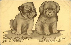 Two Puppies Eyeing Each Other Two Puppies Eyeing Each Other