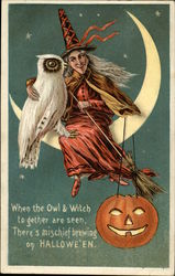 When the Owl & Witch Together are Seen There's Mischief Brewing on Halloween Postcard