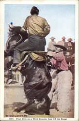 First Ride on a Wild Broncho Just Off the Range First Ride on a Wild Broncho Just Off the Range