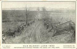 Old Bloody Lane 1862, Antietam Battlefield Where the Dead Lay Two Deep Postcard