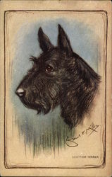 Pastel Drawing of Scottish Terrier Postcard
