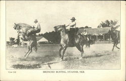 Broncho Busting Postcard