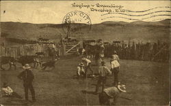 Roping and Branding, Deming, N.M Postcard