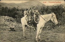 "Five Young Cowboys" - Five Young Boys Sitting on One White Horse Postcard