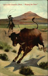 Life in the Canadian West: Ropin the Steer Postcard